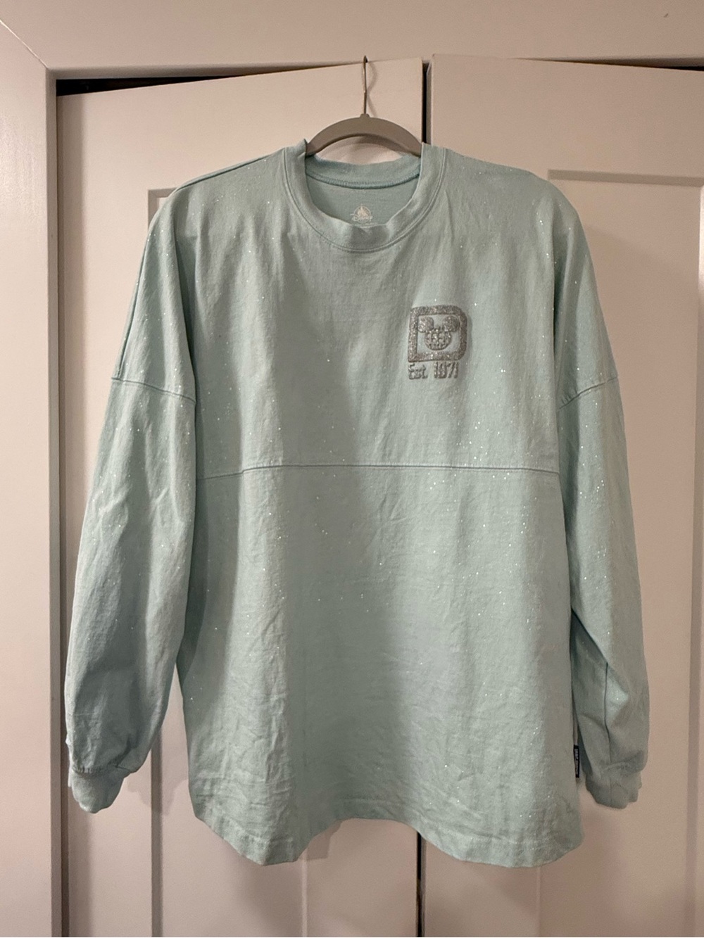 Disney World Arendelle Aqua Spirit Jersey